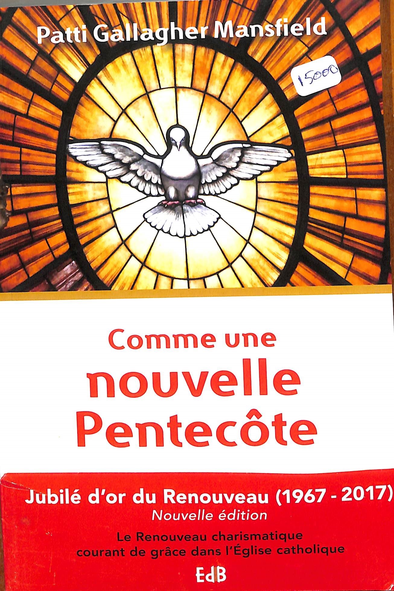 Comme une nouvelle Pentecôte